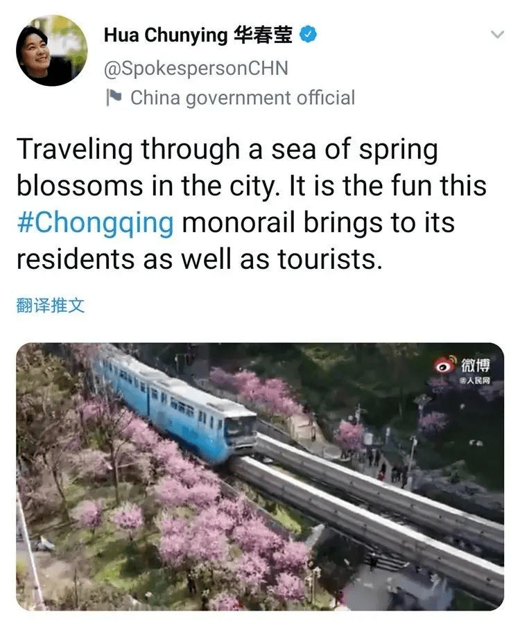 国内这趟花海列车美出圈了，央视报道、外媒点赞，杭州直飞只要¥300+