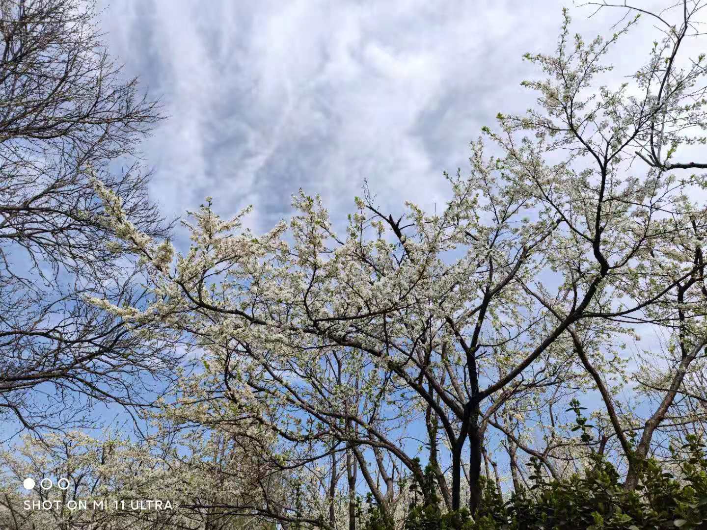 镜头|小米11 Ultra评测：年度最强全能影像机皇 夜拍碾压苹果