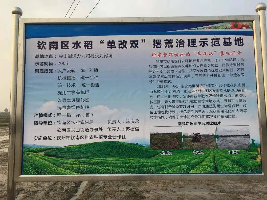钦州2021人口_钦州港2021规划图(3)