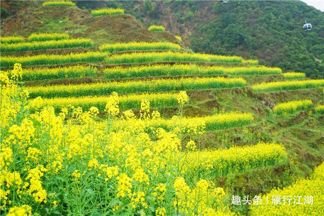 中国最美的春天，藏在江西婺源的花海里，这六个地方个个美如仙境