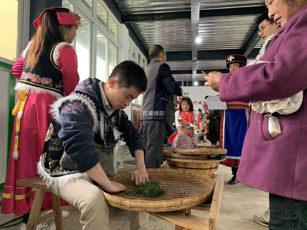 莫负春光且饮春茶快来北川采茶