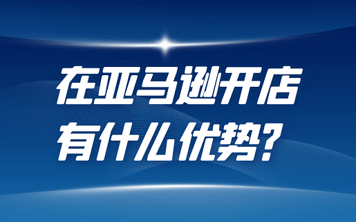在亚马逊开店有什么优势 产品