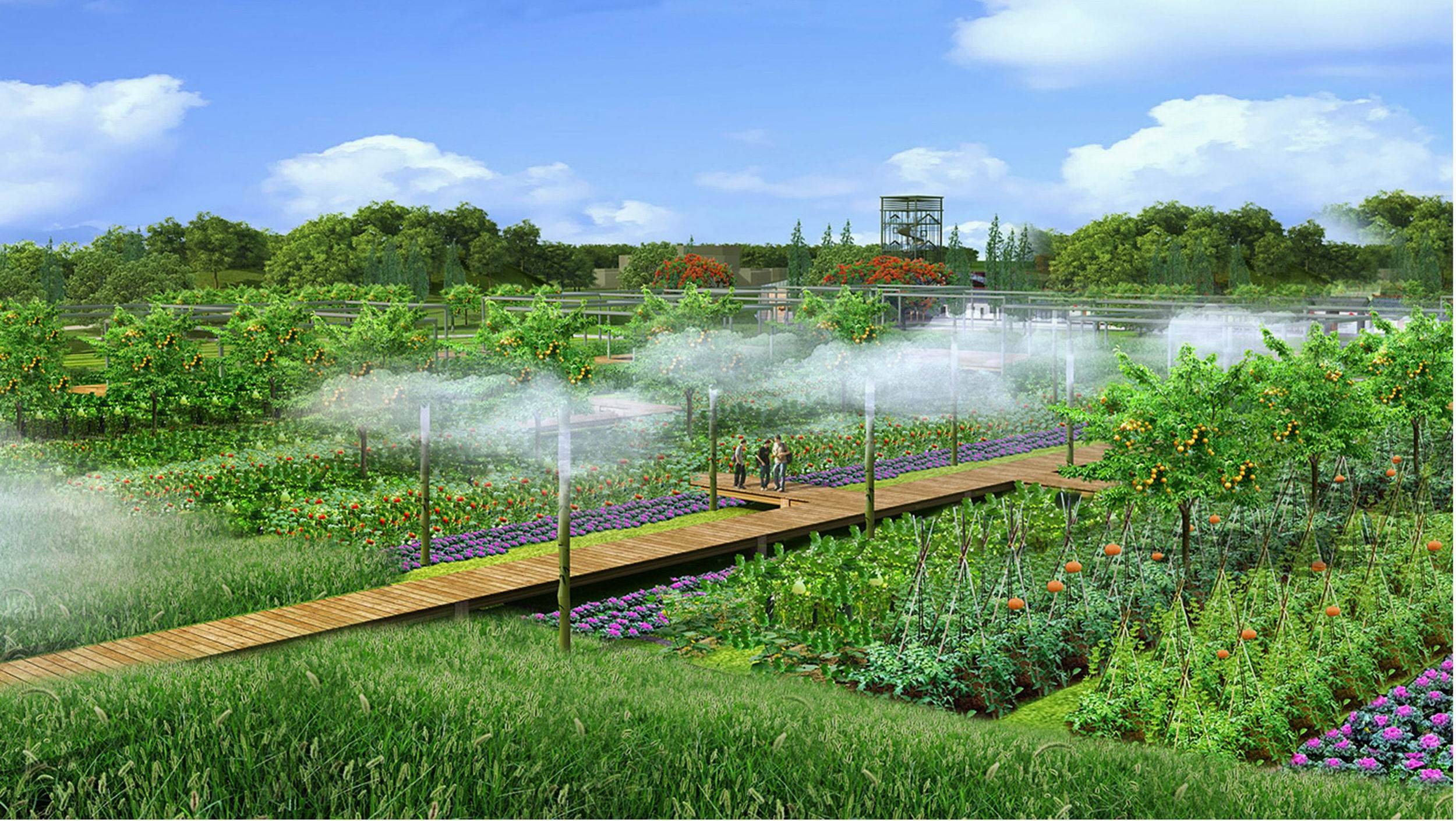 据记者了解,为了增加市区,前几天引进了20条扶持措施,加强农业自主