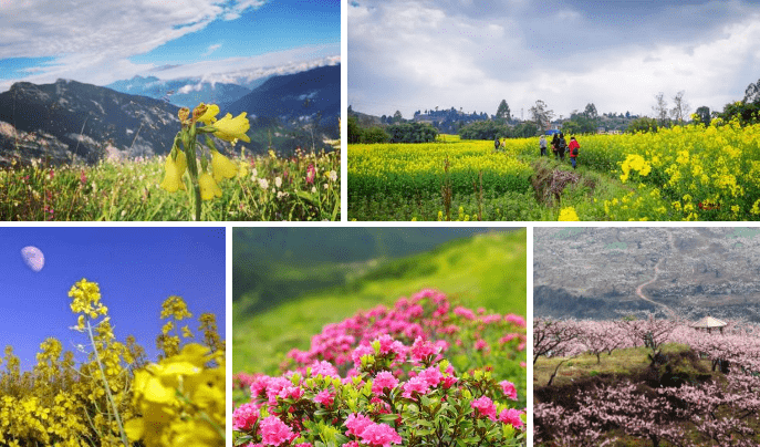 【春季赏花好去处】走，旅游姐姐带你们去看四川的赏花目的地