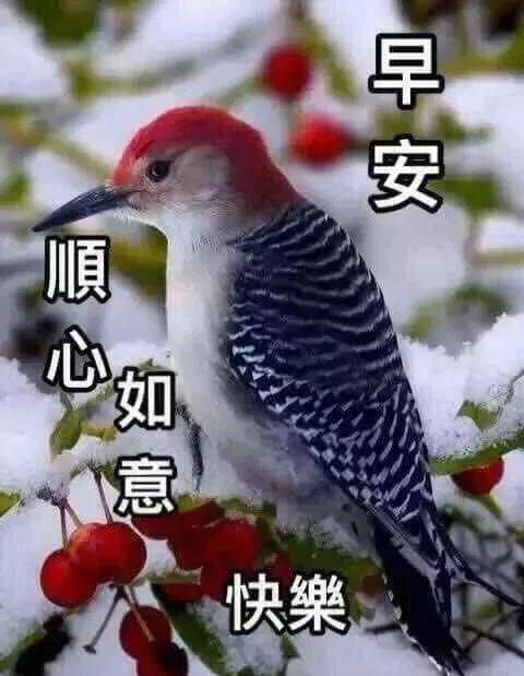 原创早上好祝福语录最新漂亮早安祝福语表情图片