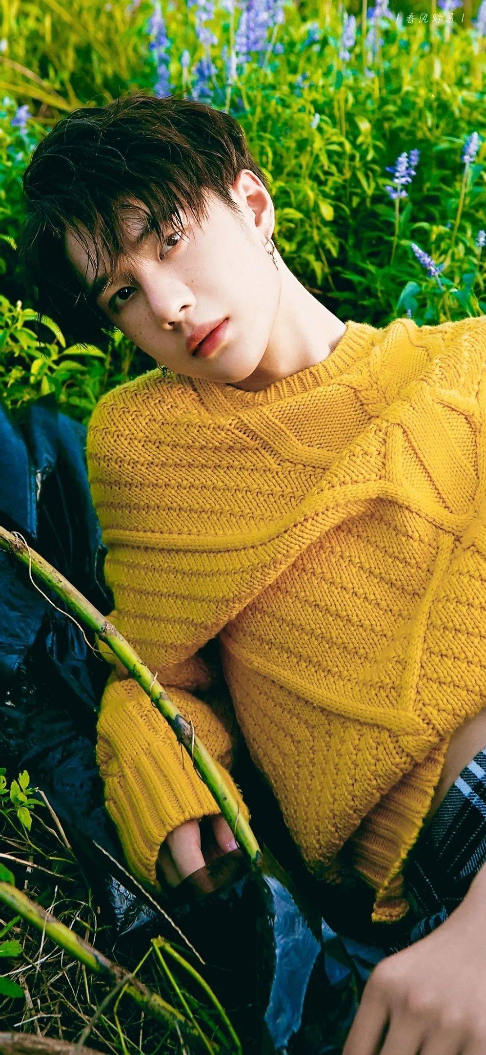 王一博壁纸明媚阳光下少年的鲜活气息扑面而来