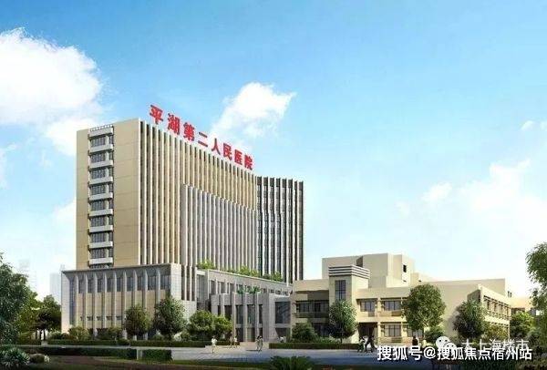 嘉兴平湖经济总量_嘉兴平湖的效果图