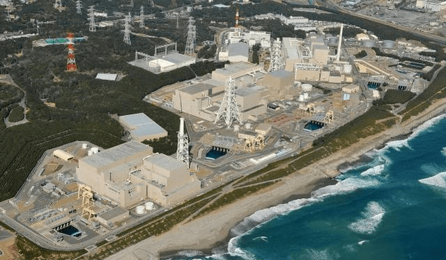 一只狼核辐射区里跑了出来,它会人类带来灾难吗?说了你可能不信