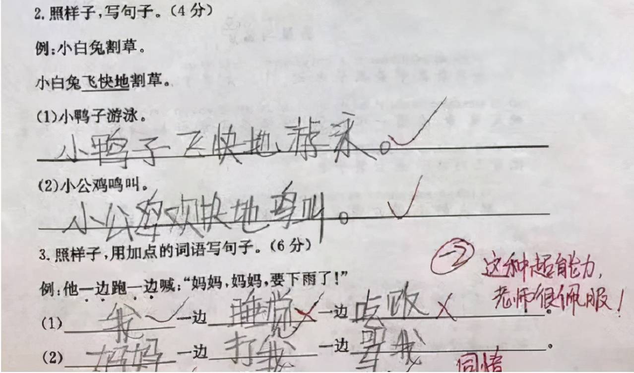 小学生造句走红 老师看完哭笑不得 家长 他说的是假的 作业