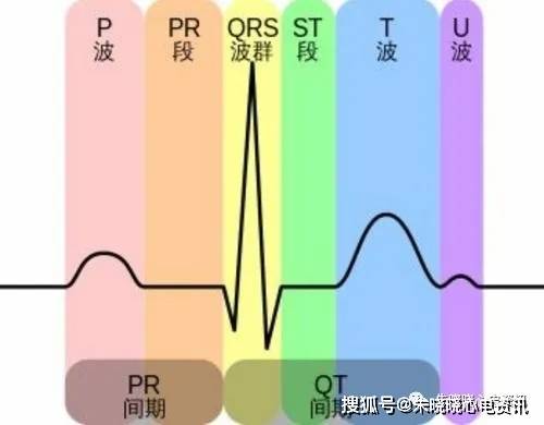 第五节正常的心电图2 不规整的心率的计算:数30个大格内有多少个r波