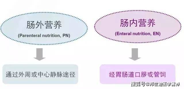 营养课堂丨有胃肠功能应及早实施肠内营养