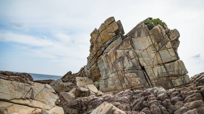 格兰仕再造一个中国市场真相：拿科技改写家电巨头格局-家电圈官网