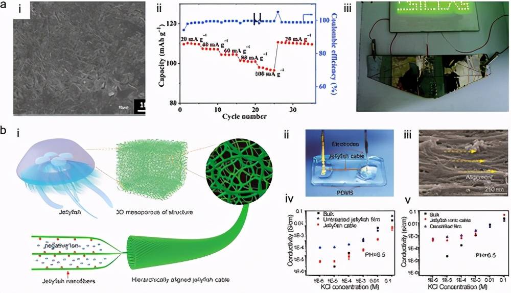 什么是电解质离子水 6d46e07dddba465ebb26b10d8a62764e.jpeg
