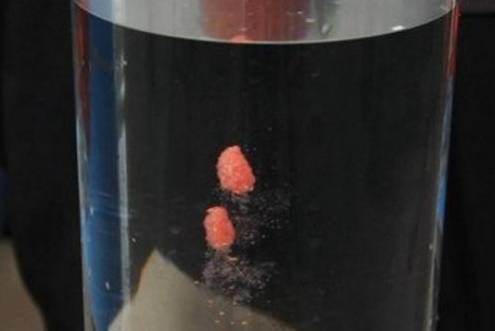 怎么上拉饵和搓饵 97d8a9e4185543949b83b32b4bd15ee2.jpeg