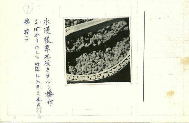 从上肥到播种1939年日本人全方位拍摄我国农业种植连种子都拍亚新体育(图5)