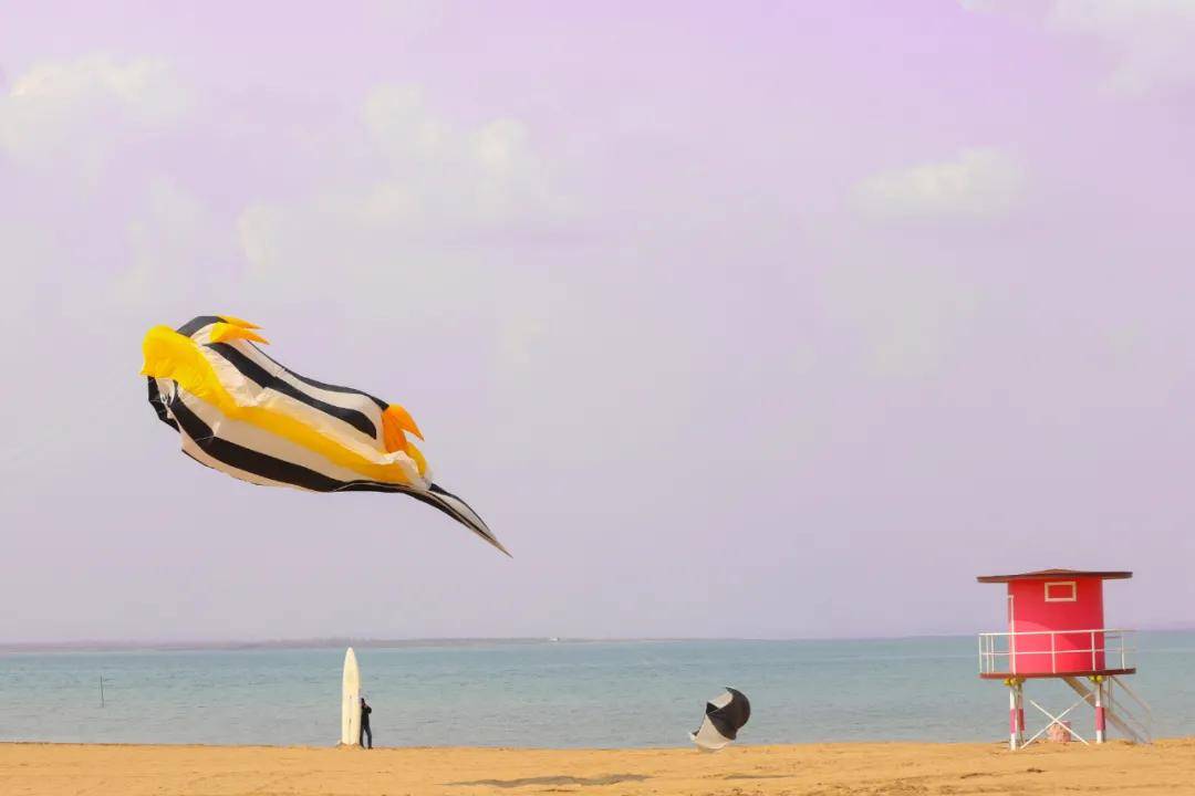 红碱淖迎来65米的章鱼阵风筝，大型中非鱼风筝首飞惊艳亮相！