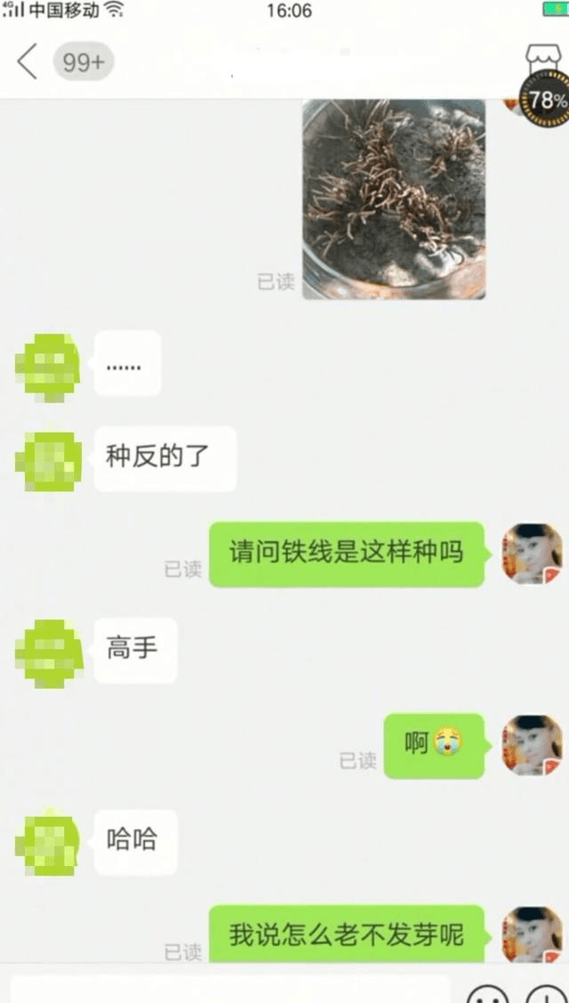 533d1c510d5b41c69ba691a17f6bf05e.png
