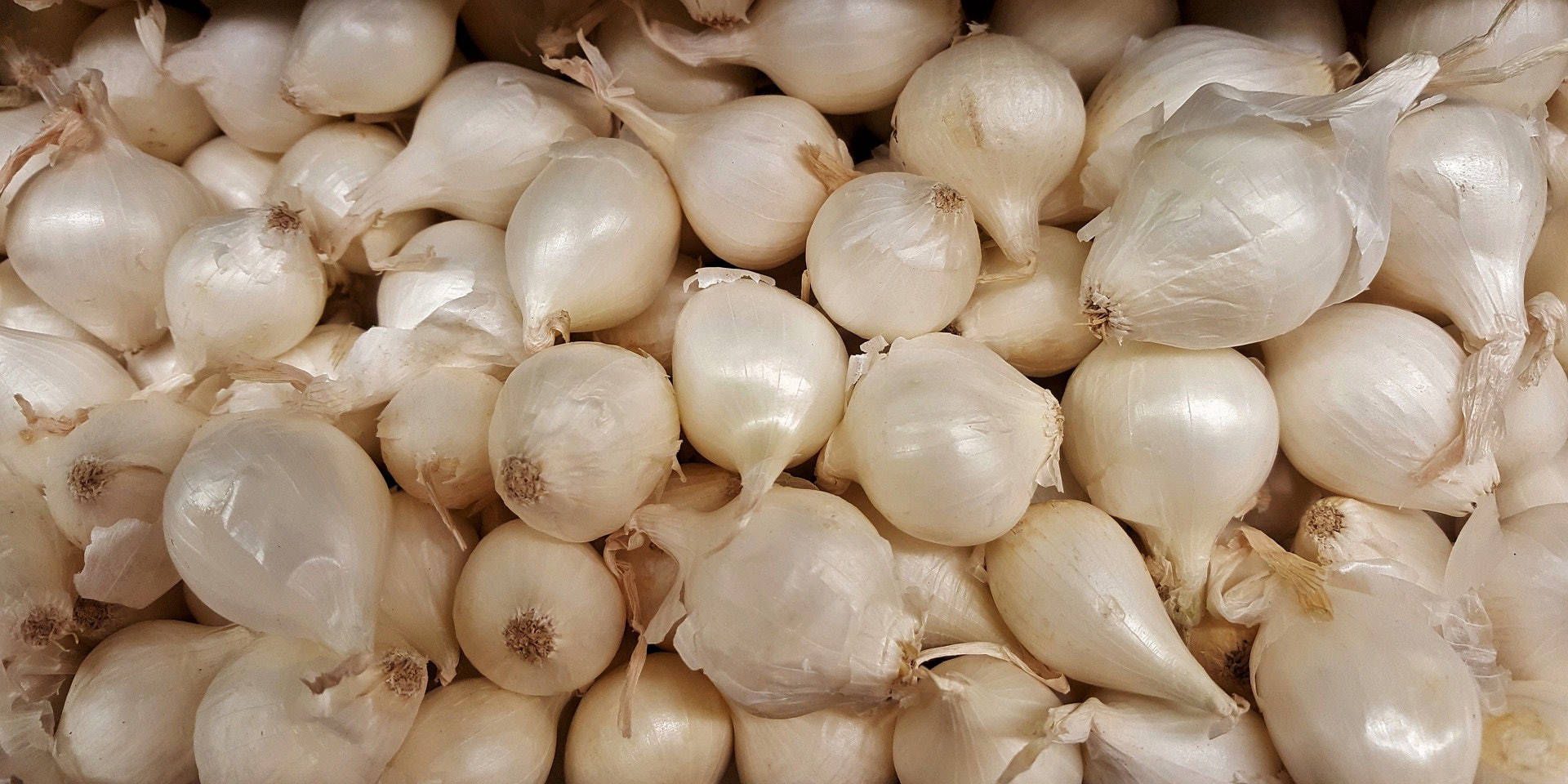 3色洋葱大不同哪种宜生吃?