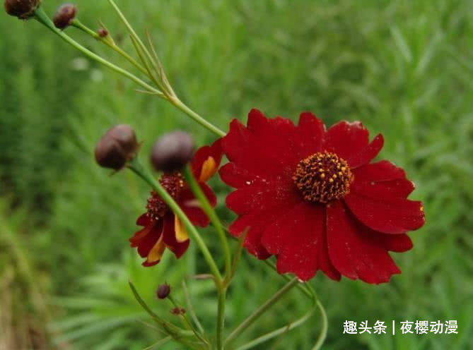 4月下旬开始财运来临 有贵人相助 富贵花开的四大属相 朋友