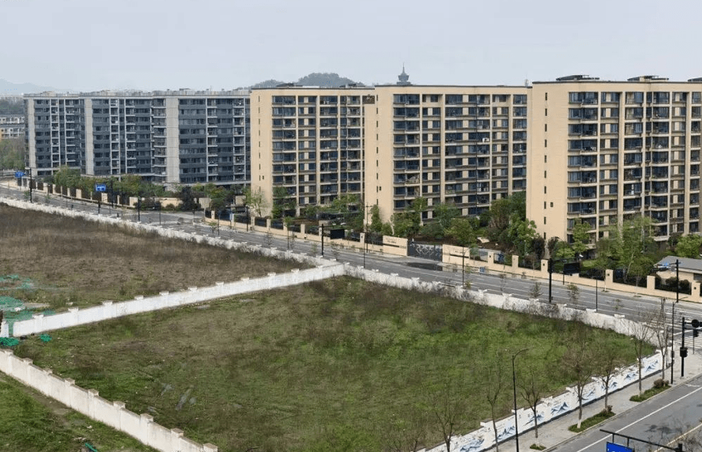 摇号有望！2021年杭州供地计划出炉，供应量比去年涨了近三成_双浦