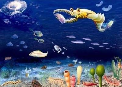 云南澄江动物群博物馆：看一看我们亿万年前的老祖先