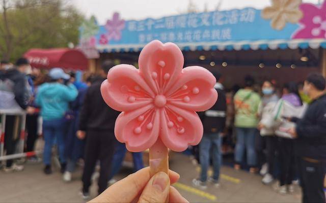 玉渊潭公园樱花创意美食热销，樱花冰淇淋最受捧