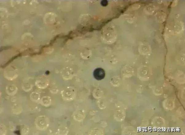 故宫博物院藏:宋代官窑及明清仿官瓷器的显微特征_釉面