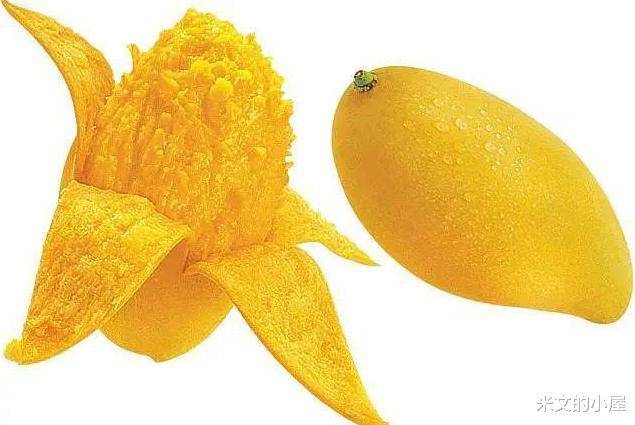 怎么吃芒果才好 7bd37eeefc20462e8ee8153ea9fa5bd8.jpeg