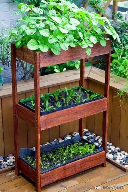 怎么种菜在家 91a1016043d74927b745f822c00be330.jpeg