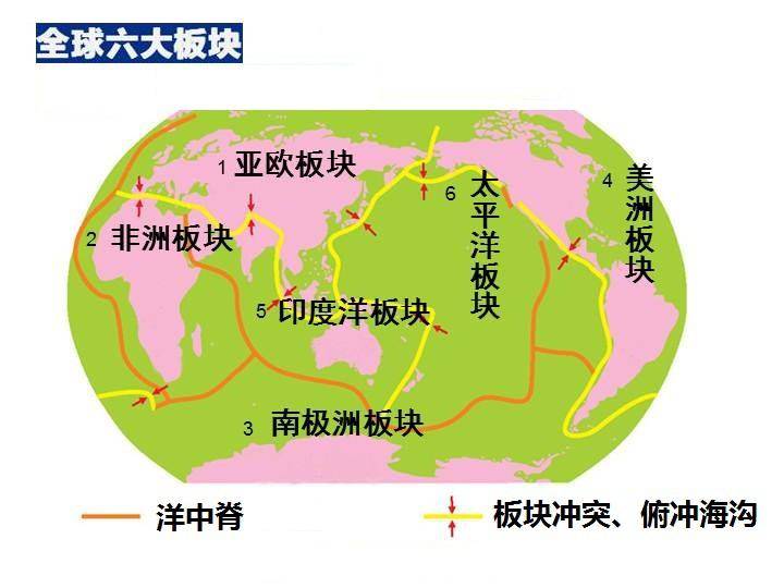 生物的秘密 板塊運動對生物的塑造_大陸