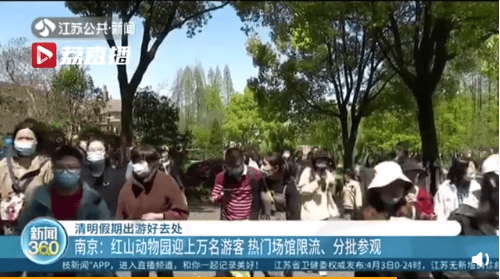 【南京红山动物园半天涌入1.7万游客，这个亏损3000万的动物园自救成功了？】