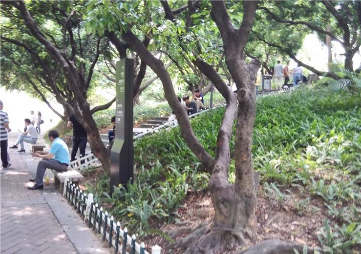 深圳龙华：工作日徘徊在公园里的人，谁又不想找份工作呢