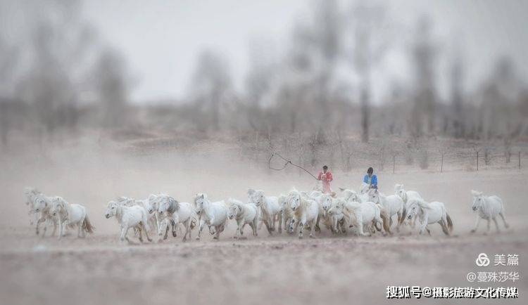 蔓什么成语_成语故事图片(2)