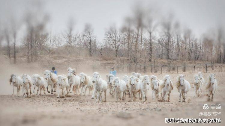 蔓什么成语_成语故事图片(2)