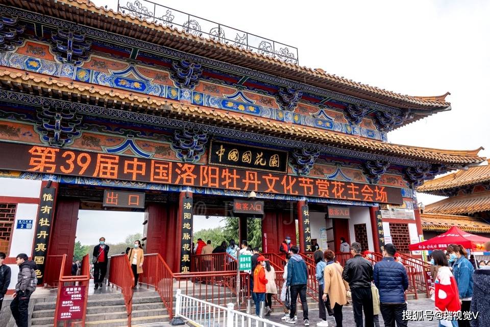 洛阳牡丹 花开时节动京城 看这多个品种牡丹花盛开 风姿绰约 国家文化部