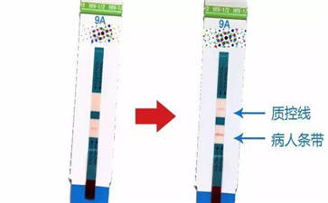 hiv测试纸是什么原理_幸福是什么图片