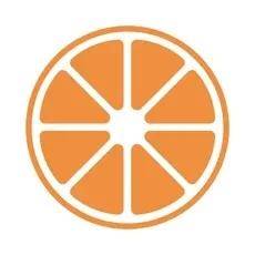 橘子平台图标图片