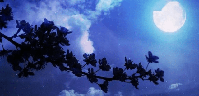 古人云一年之计在于春 e1b7bf0c3f2045ac896669df4c6677b1.png