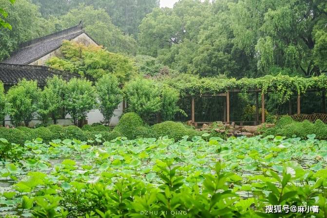 上海有一座千年园林，名字非常独特，名气没有豫园高门票只要12元