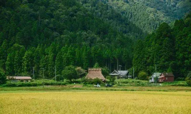 日本人的农村，颠覆你的想象！
