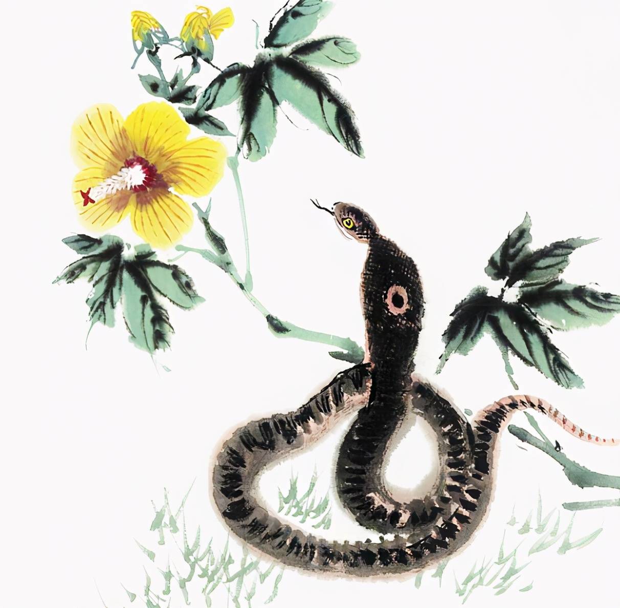 属蛇人是聚财的象征,也是一家人,非常钦佩和感念的对象,他们往往默默