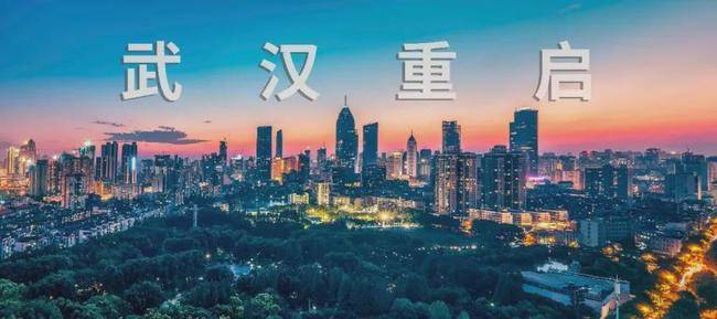 武汉2020年经济总量_2020年武汉疫情
