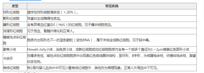 紅細胞和白細胞是血液的主要成分,它們的異常形態也是我們事業單位在