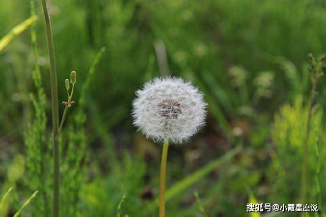 有深度有哲理的感悟句子,精辟有内涵,让人读了又读