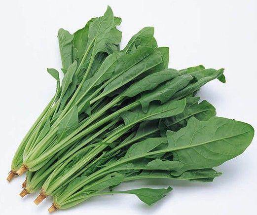 啥菜含维生素b2多 4cdd40eeae874ccabb8eaf5d428990bf.jpeg