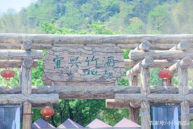 这里拥有华东地区最大的竹林，人少景美，被誉为“华东第一竹海”
