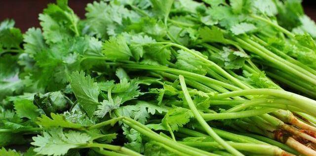 现在能种香菜不 d27cfc2507d748ed9445d38a1a4436a8.jpeg