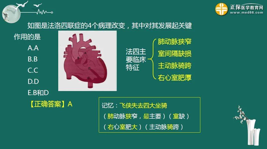 化驗報告單鑑別-腎病綜合徵體徵表現考點預測6:腎單位結構以及腎小球