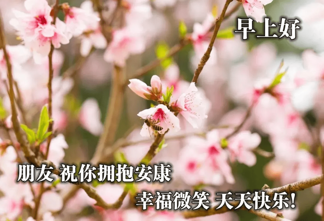 原創溫馨清晨早安祝福語句2021年溫馨祝福帶字圖片大全朋友圈溫馨祝福