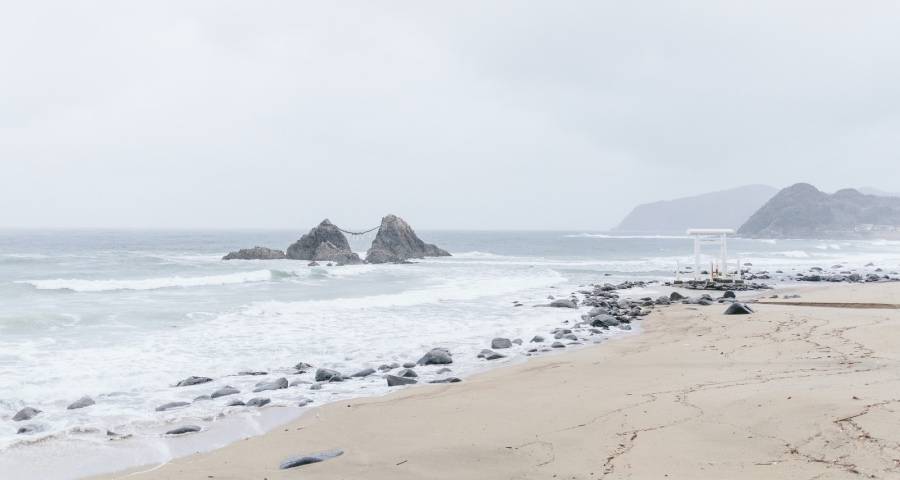 5月市场将成家电厂商突围窗口-家电圈官网